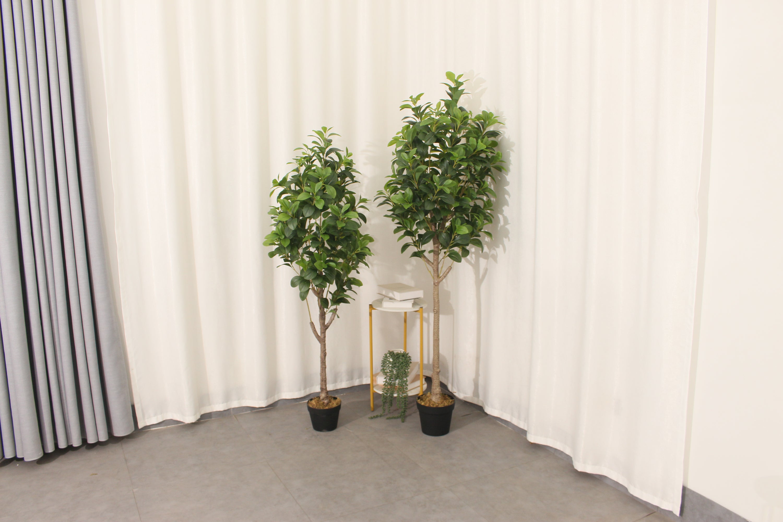Artificial Peperomia Rubber Plant 180cm Tall Indoor Décor Plant