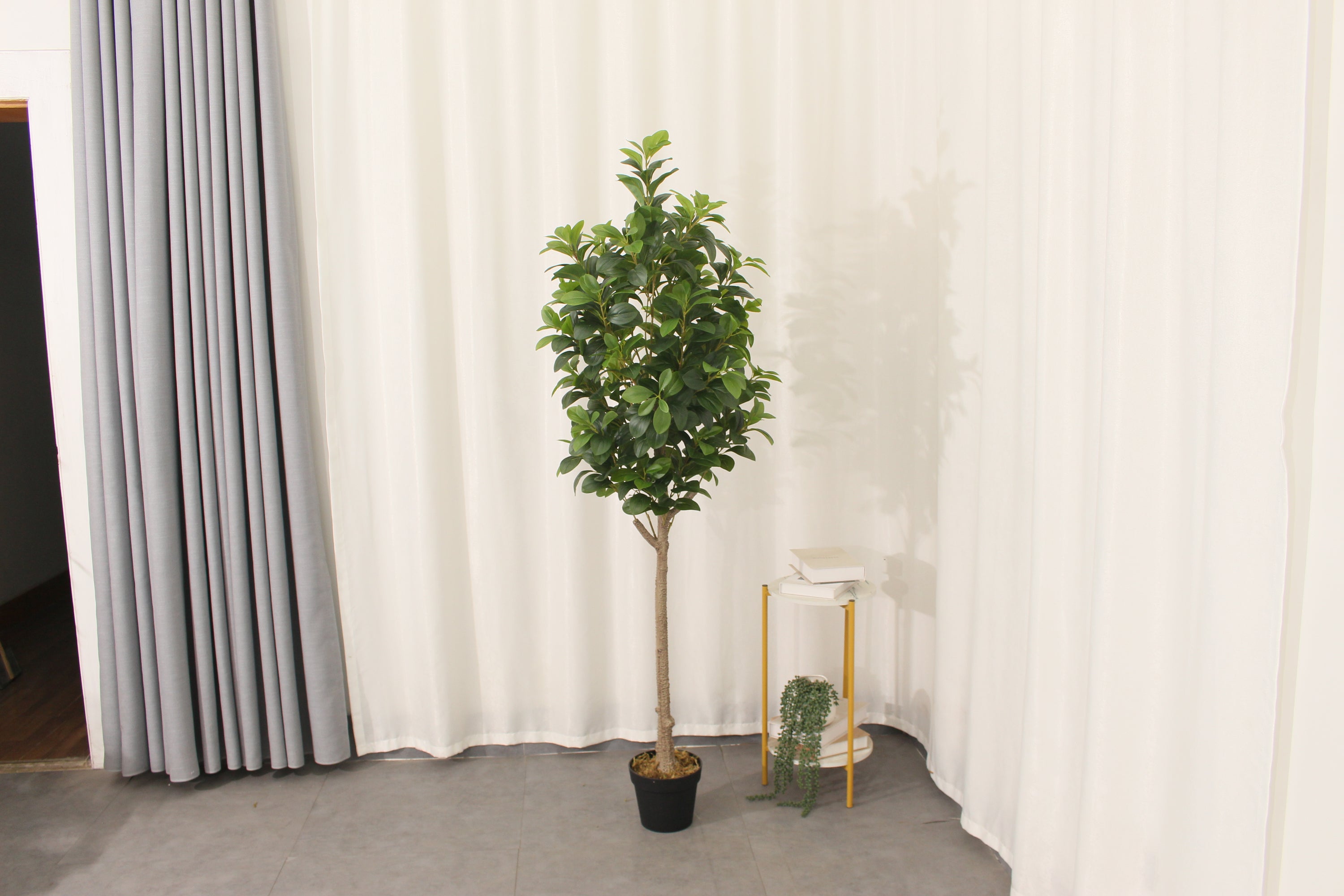 Artificial Peperomia Rubber Plant 180cm Tall Indoor Décor Plant