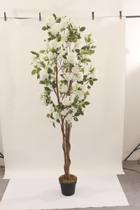 Marcolo 180cm Artificial Lilac Tree Studio Background