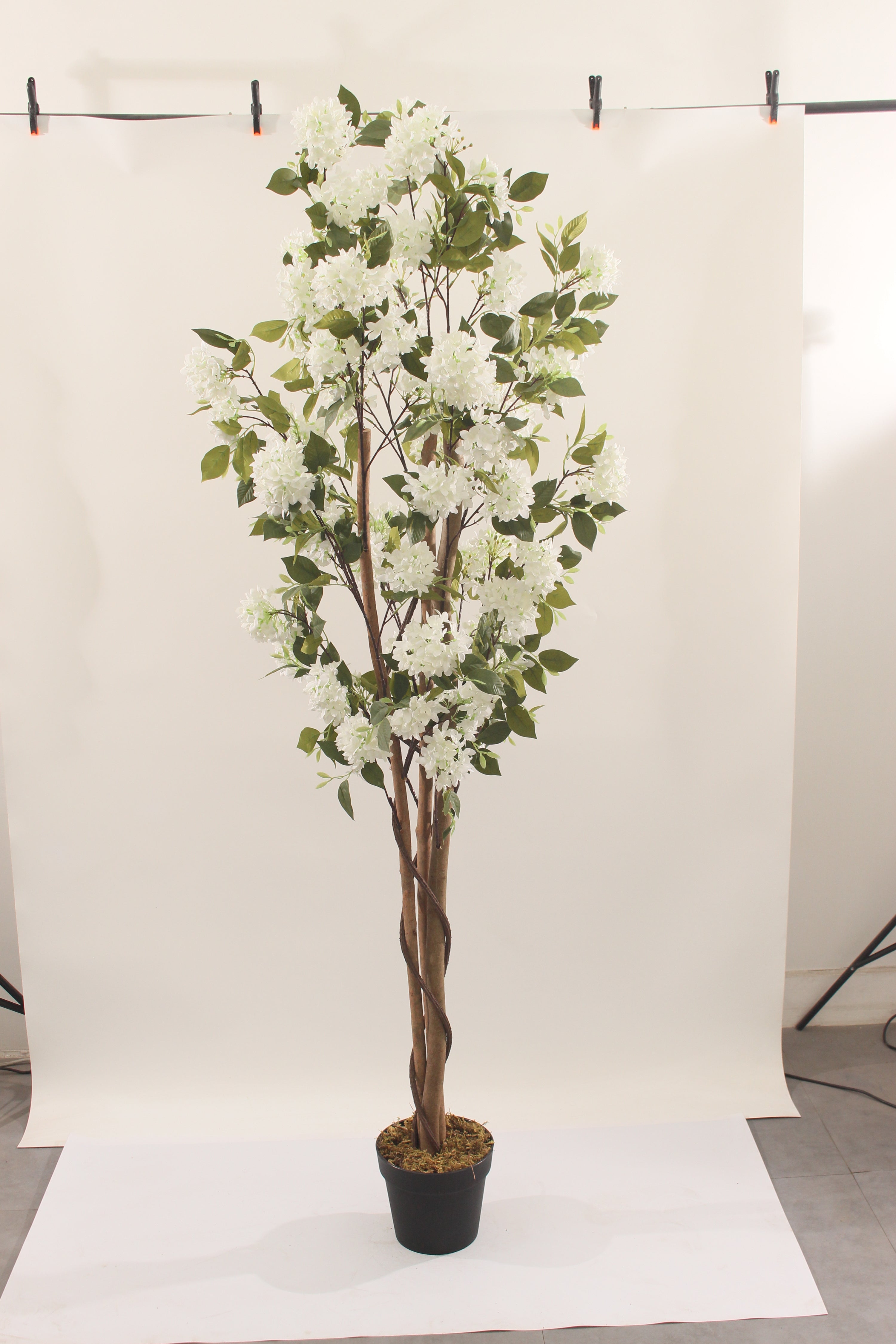 Marcolo 180cm Artificial Lilac Tree Studio Background