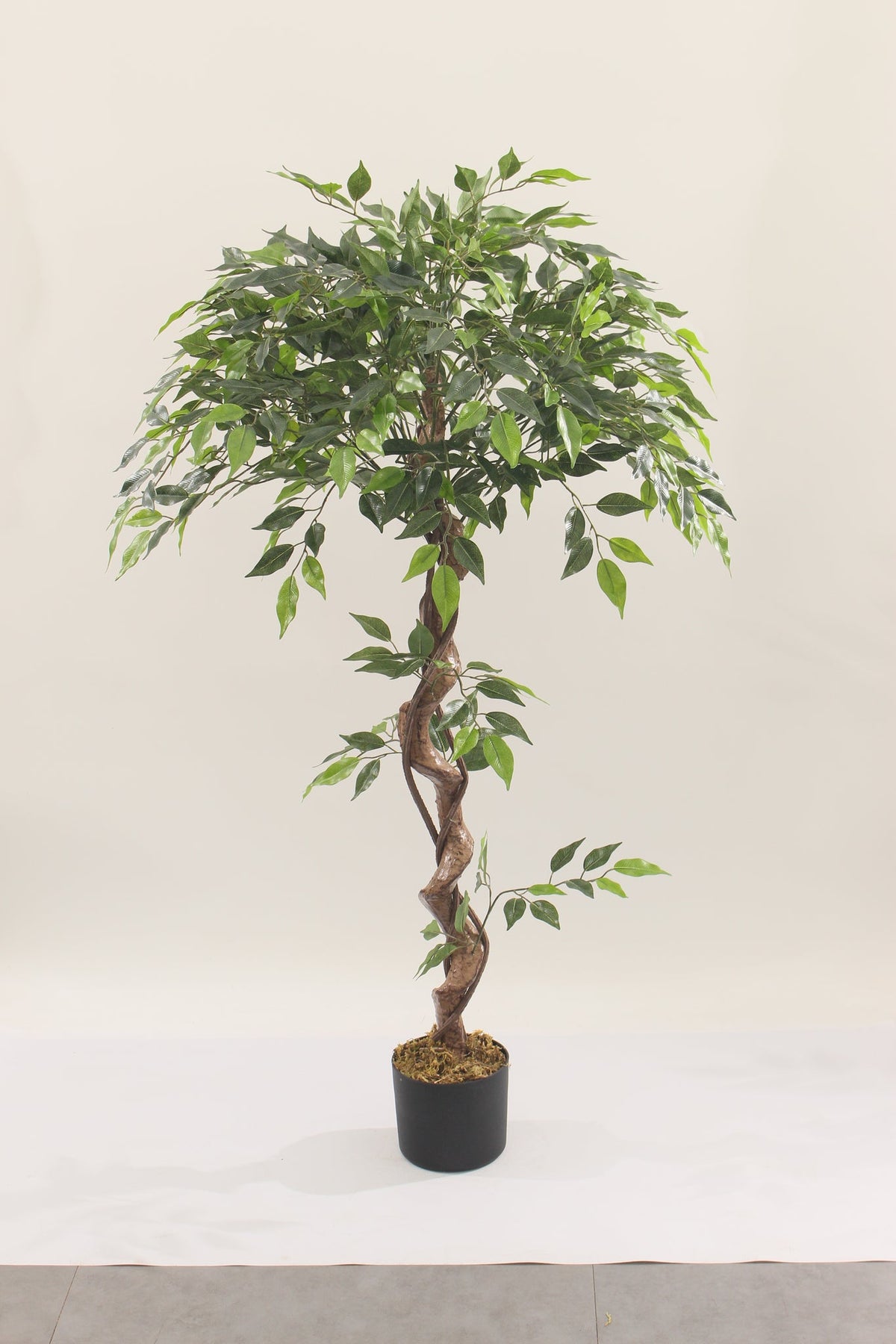 Marcolo artificial ficus tree with pot, 120 cm, full view