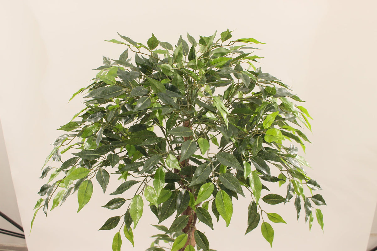 Close-up of the leafy canopy on the Marcolo 120 cm artificial ficus tree