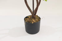 Base of the artificial lemon tree: twisted trunk in a black pot with moss