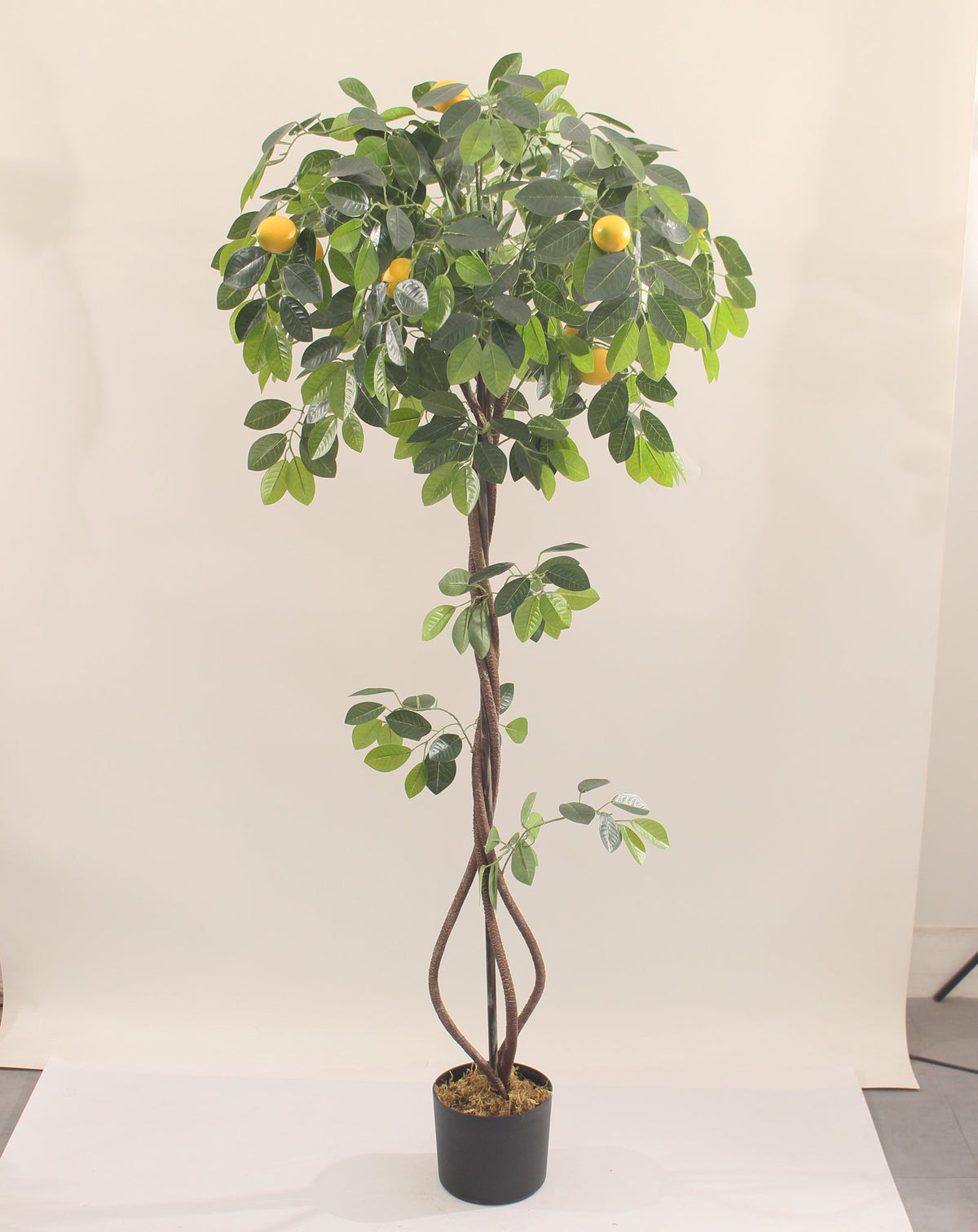 Marcolo artificial lemon tree with pot, 150 cm, full view with a spiral trunk