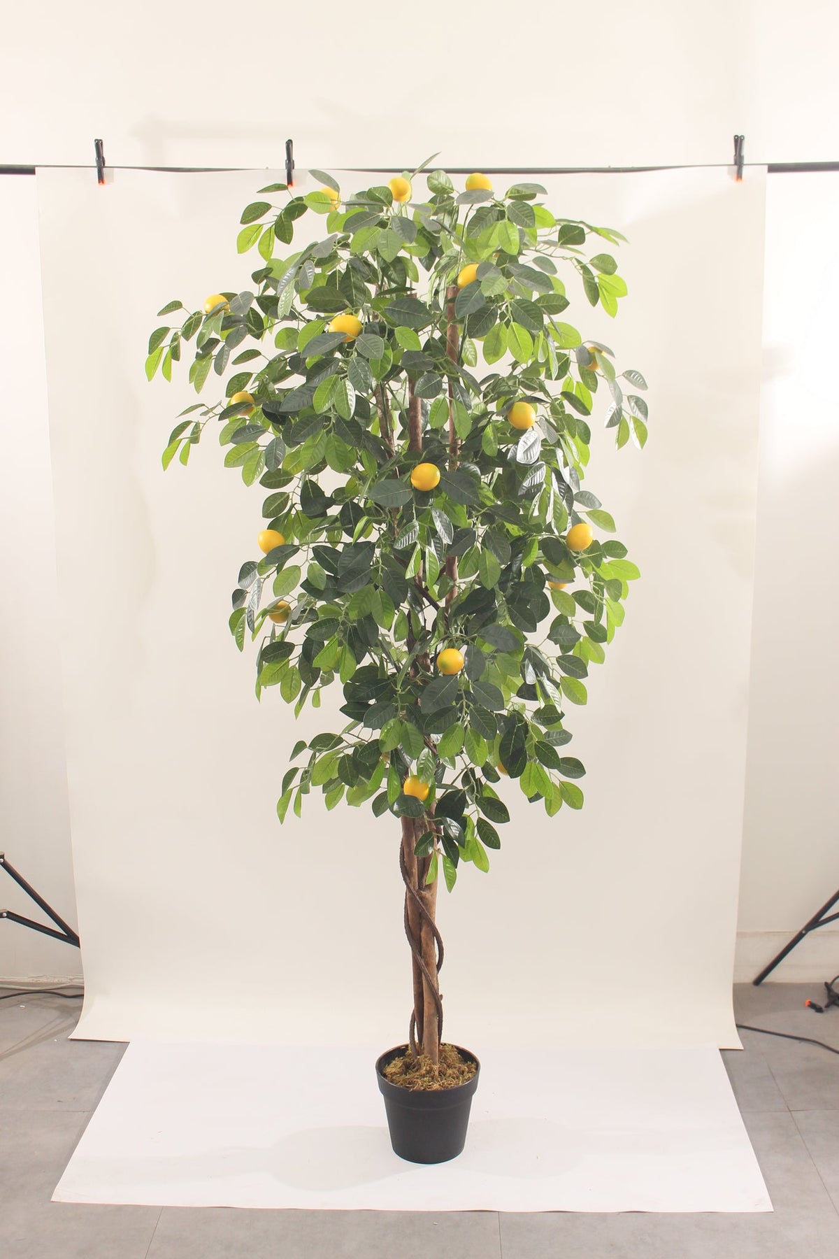 Marcolo artificial lemon tree with pot, 180 cm, full view