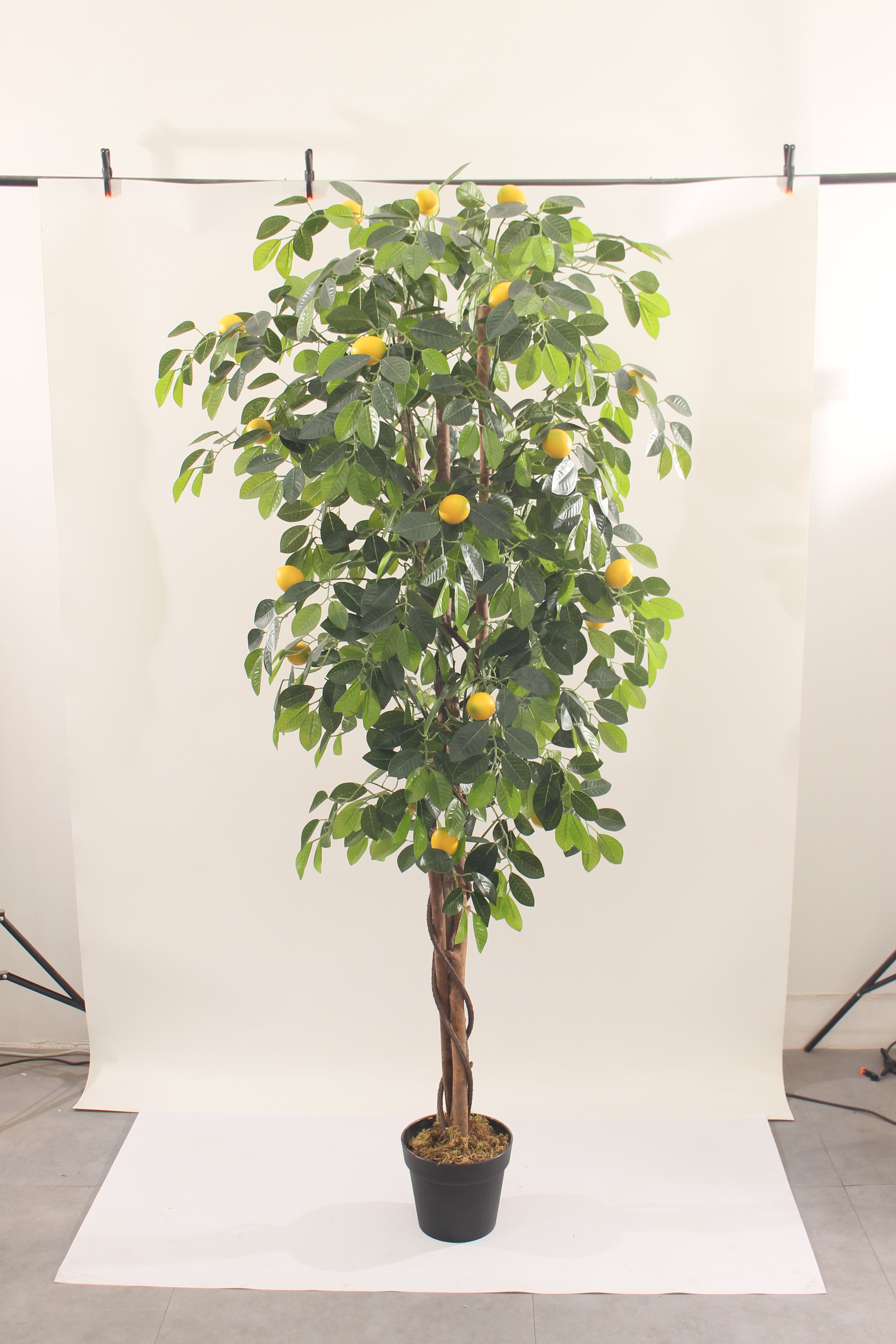 Artificial Lemon Tree 180cm Tall Lifelike Indoor Décor Tree