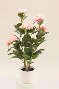 Artificial 50cm pink camellia plant in a white pot by Marcolo.