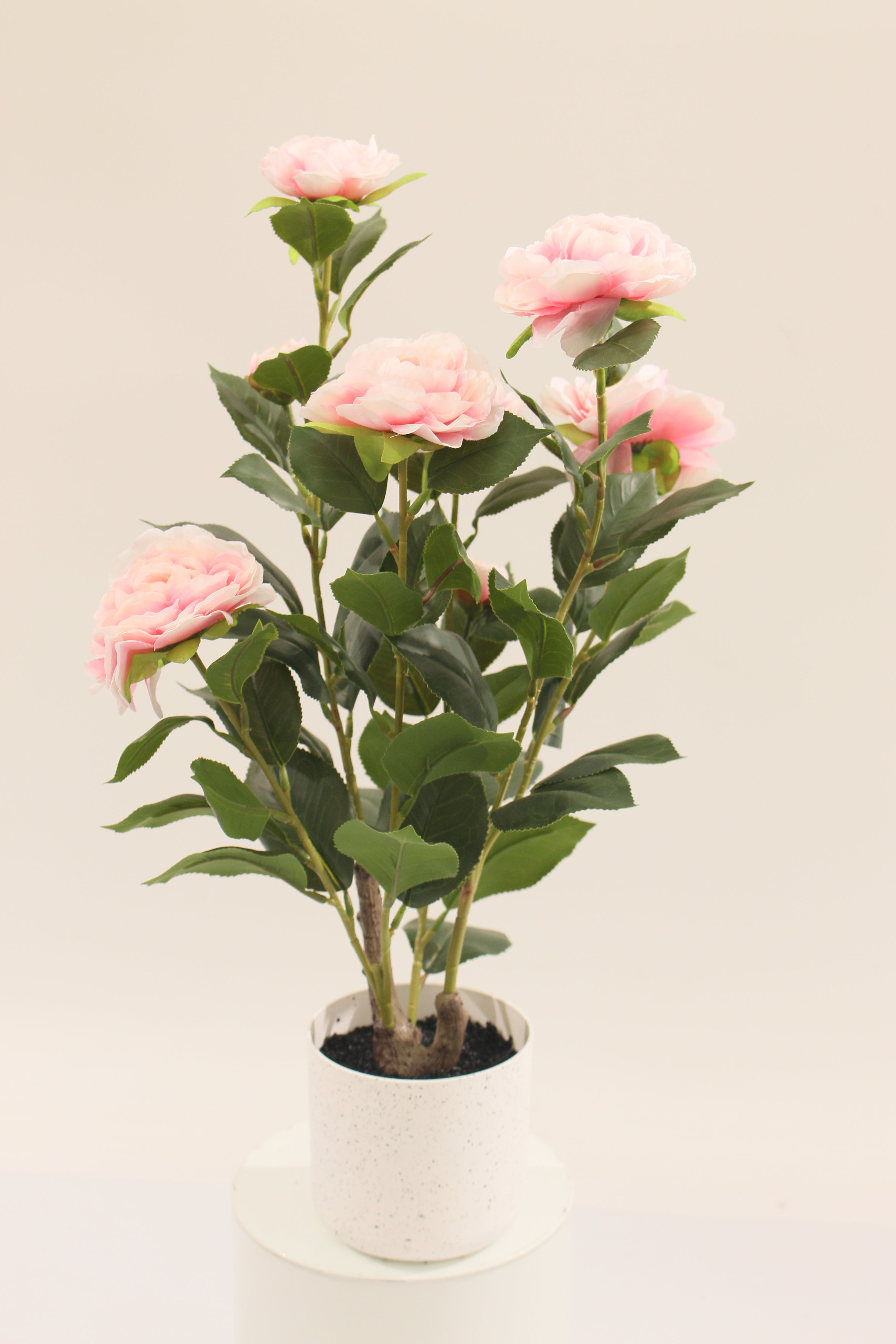 Artificial 50cm pink camellia plant in a white pot by Marcolo.