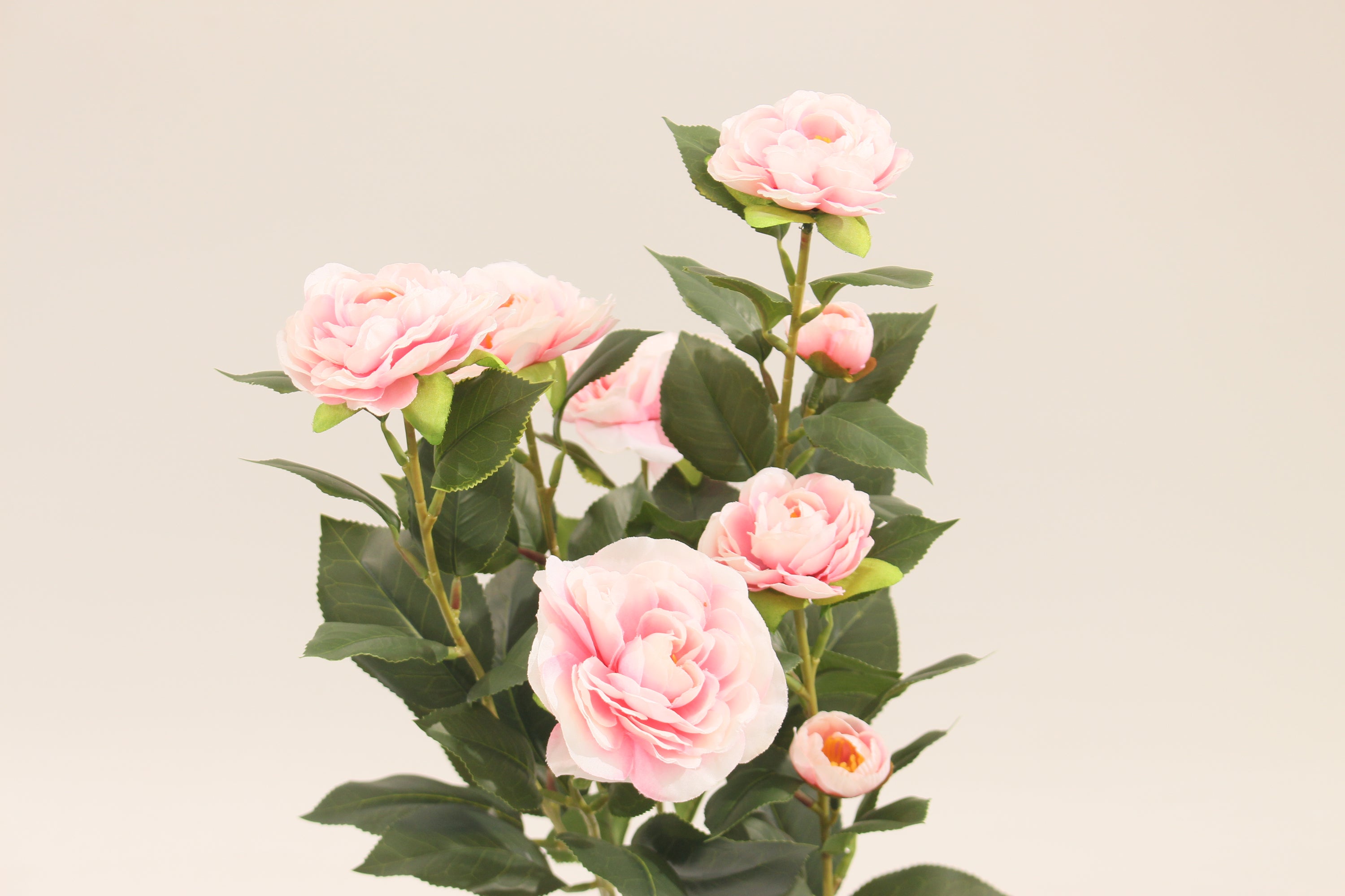 Pink artificial camellia flowers and buds by Marcolo.