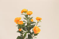 Orange artificial camellia flowers and buds by Marcolo.