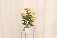 Artificial 50cm orange camellia in a white pot by Marcolo.