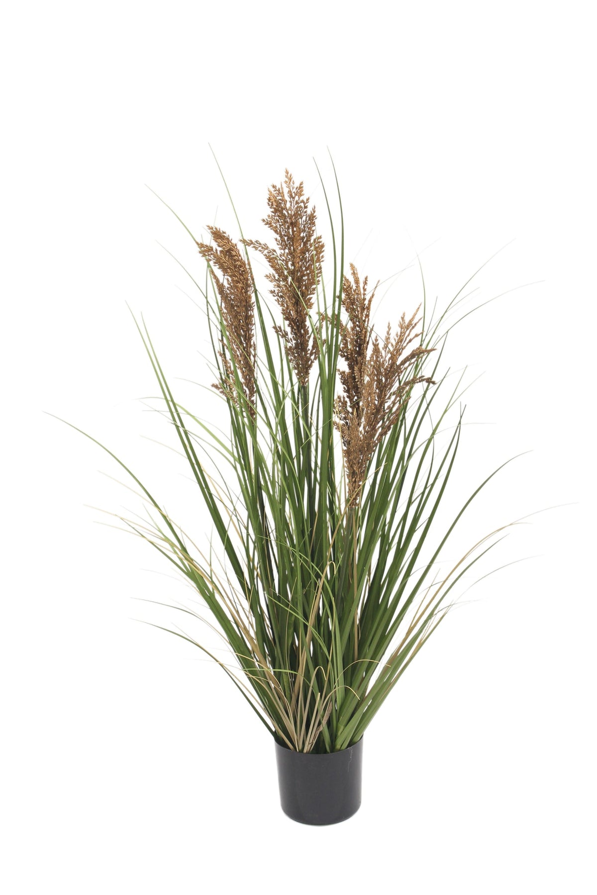 90cm artificial grass with brown plumes by Marcolo.