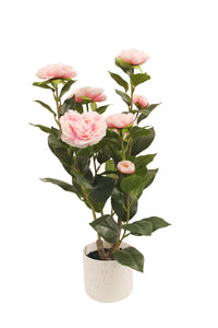 Artificial 50cm pink camellia flower in a white pot by Marcolo.