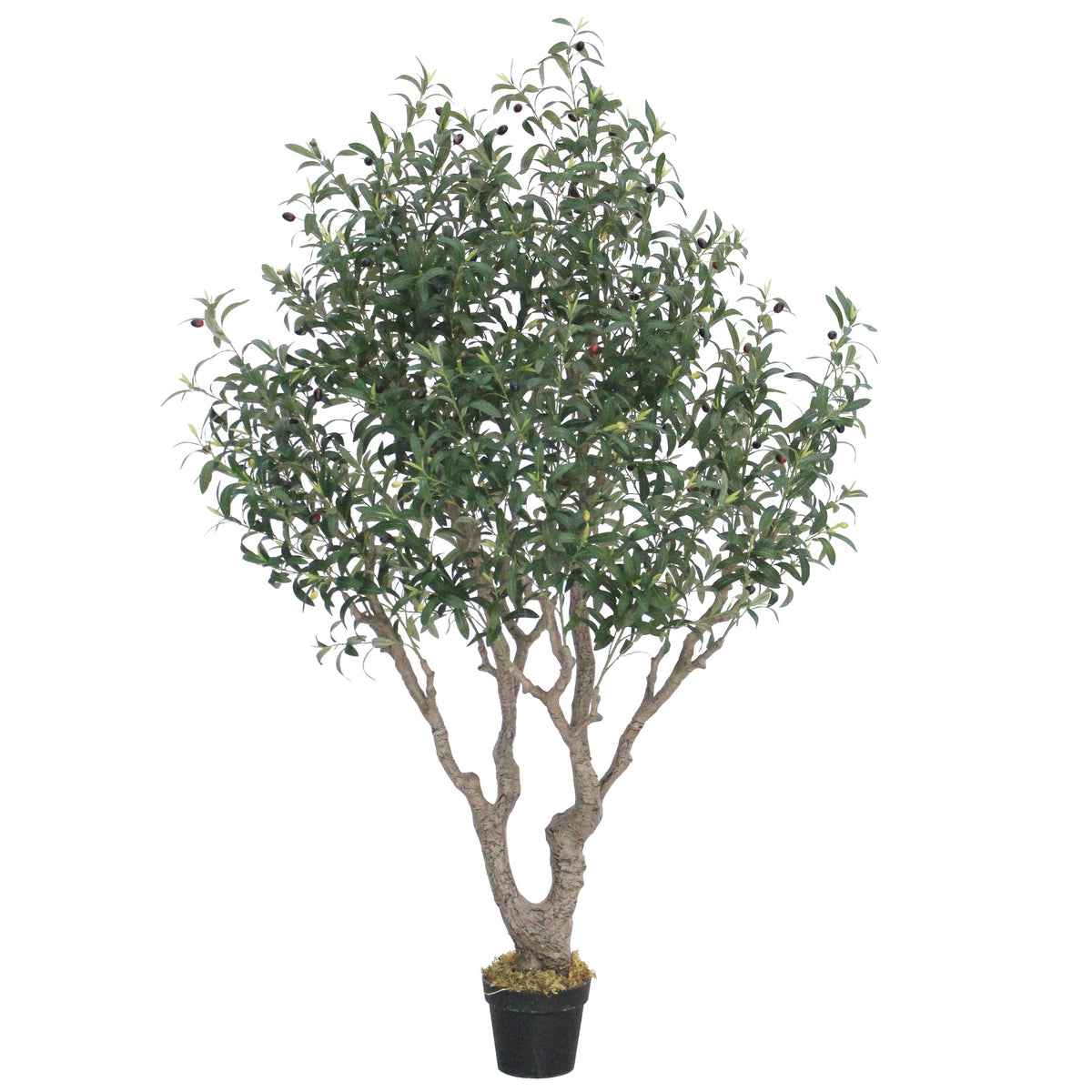 A Marcolo 180cm artificial olive tree in a black pot.