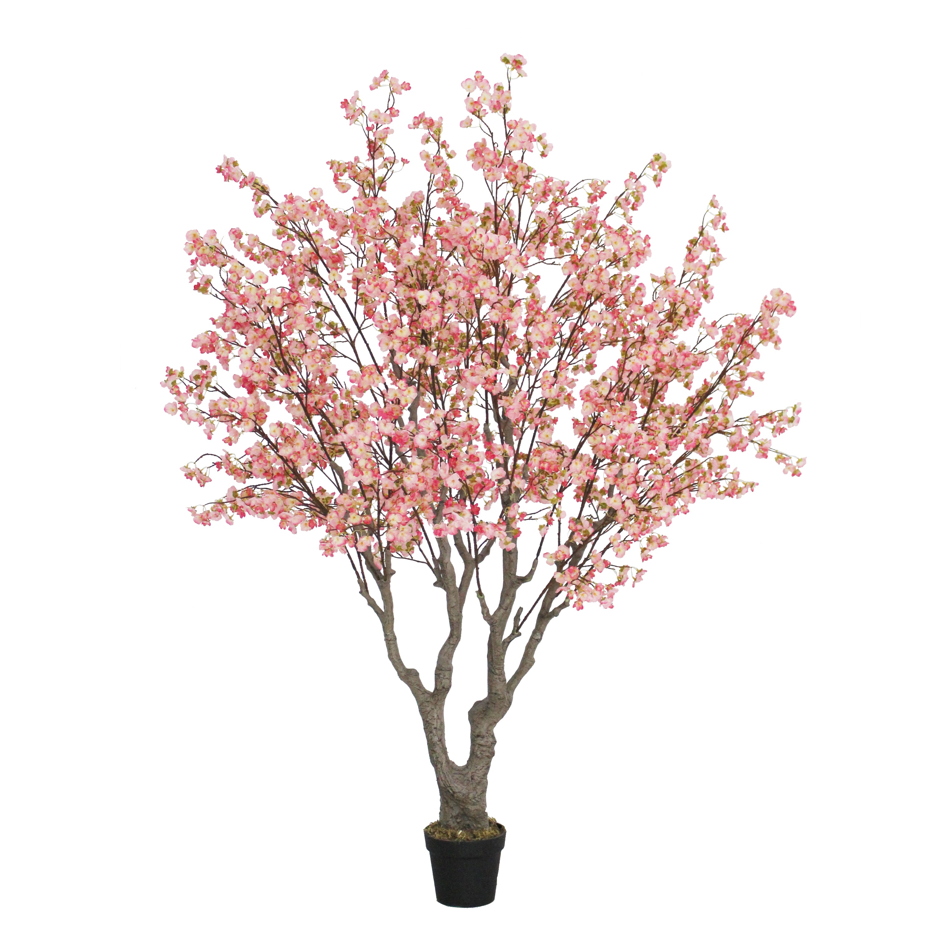 Marcolo 200cm Artificial Cherry Tree Pink Blossom Tree