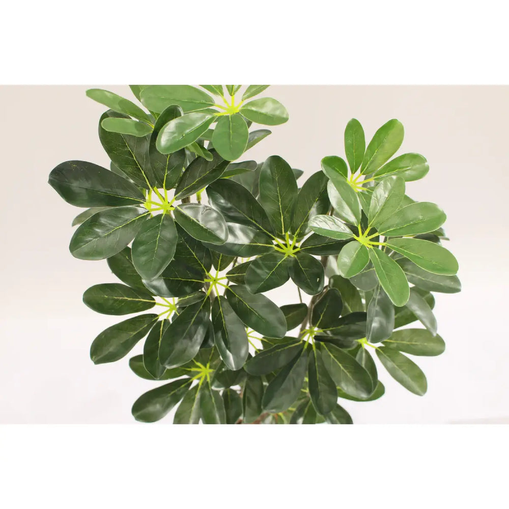 Artificial Schefflera Arboricola Tree 85cm 24l Indoor Décor
