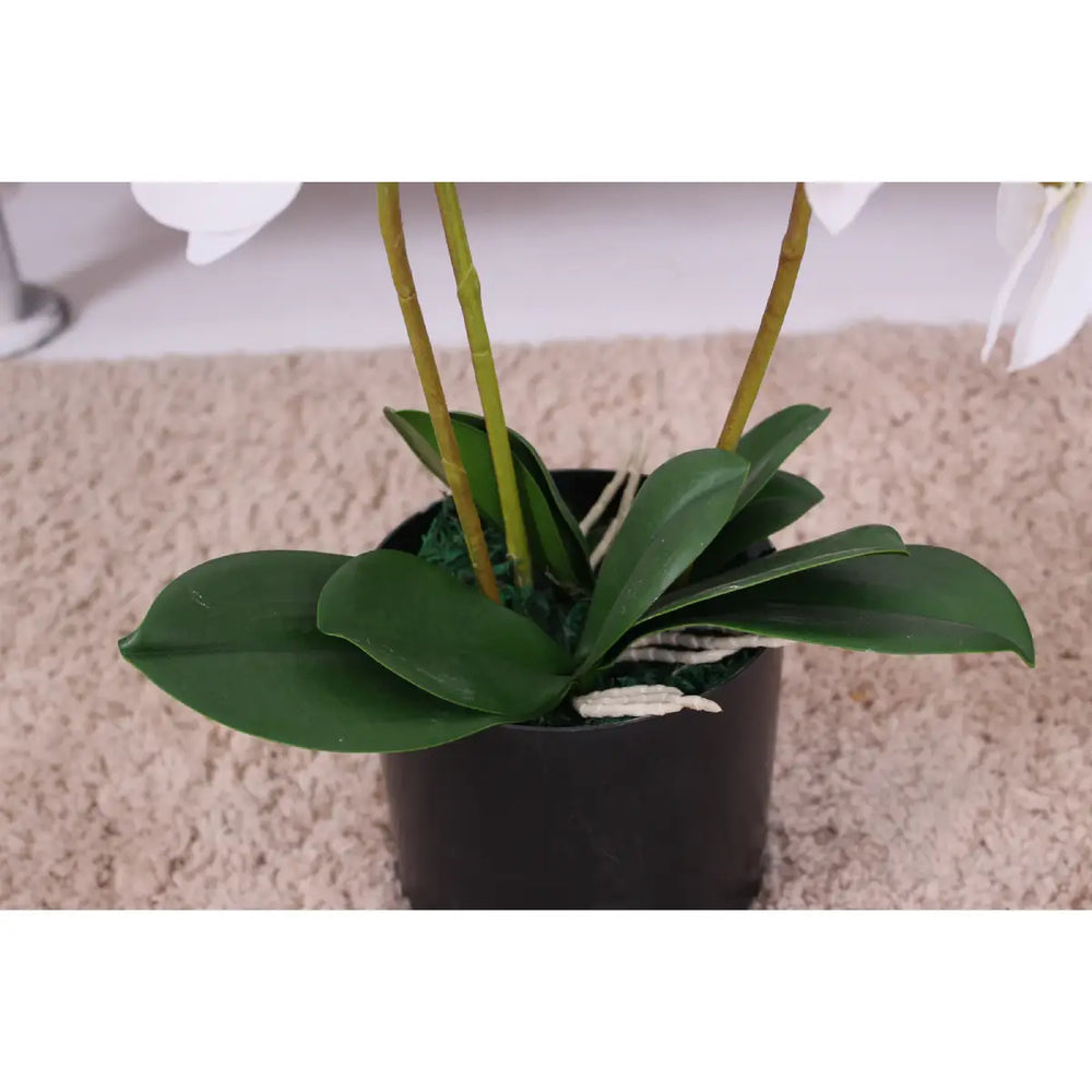 Artificial Orchid Flower 65cm Realistic Decorative Floral Stem