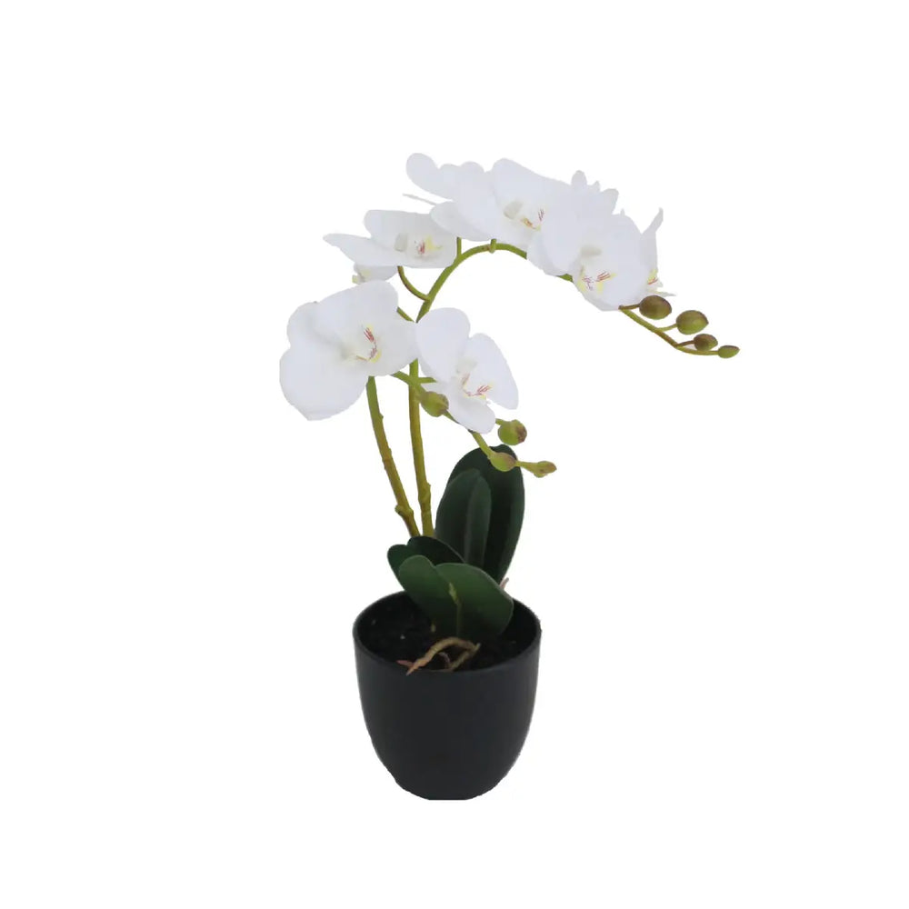 Artificial Orchid Flower 40cm Compact Decorative Floral Accent