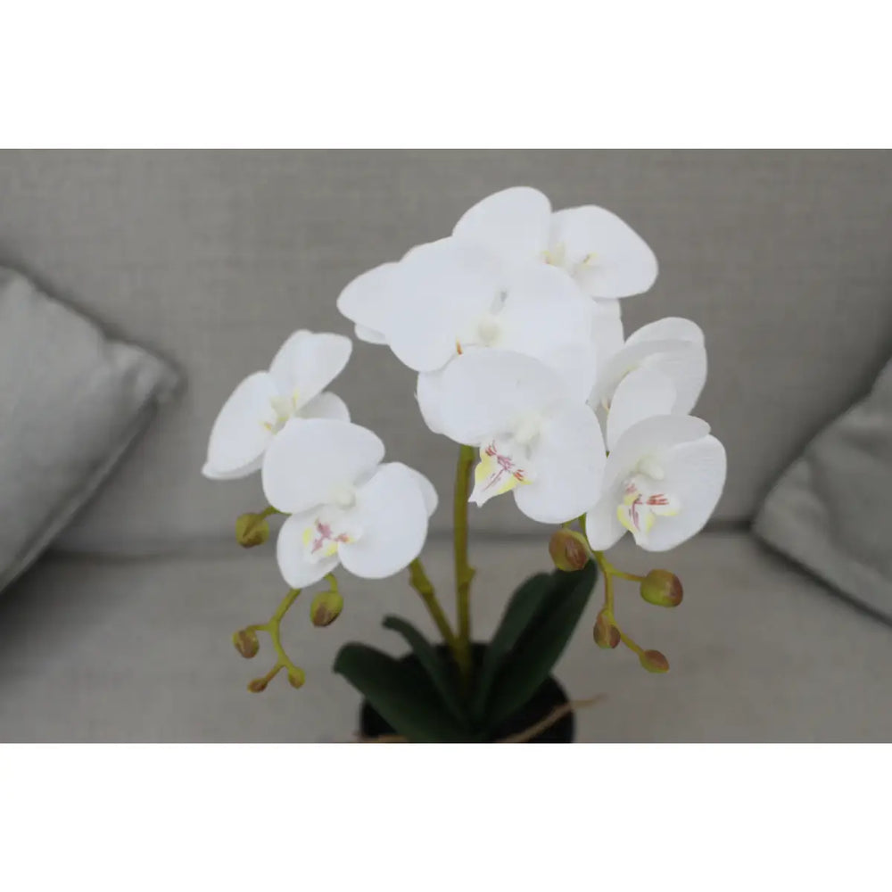 Artificial Orchid Flower 40cm Compact Decorative Floral Accent