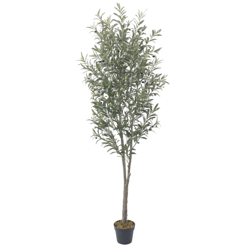 Artificial Olive Tree 210cm Tall Realistic Indoor Décor Tree