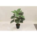Artificial Taro Plant 60cm 18l Realistic Indoor Décor Plant