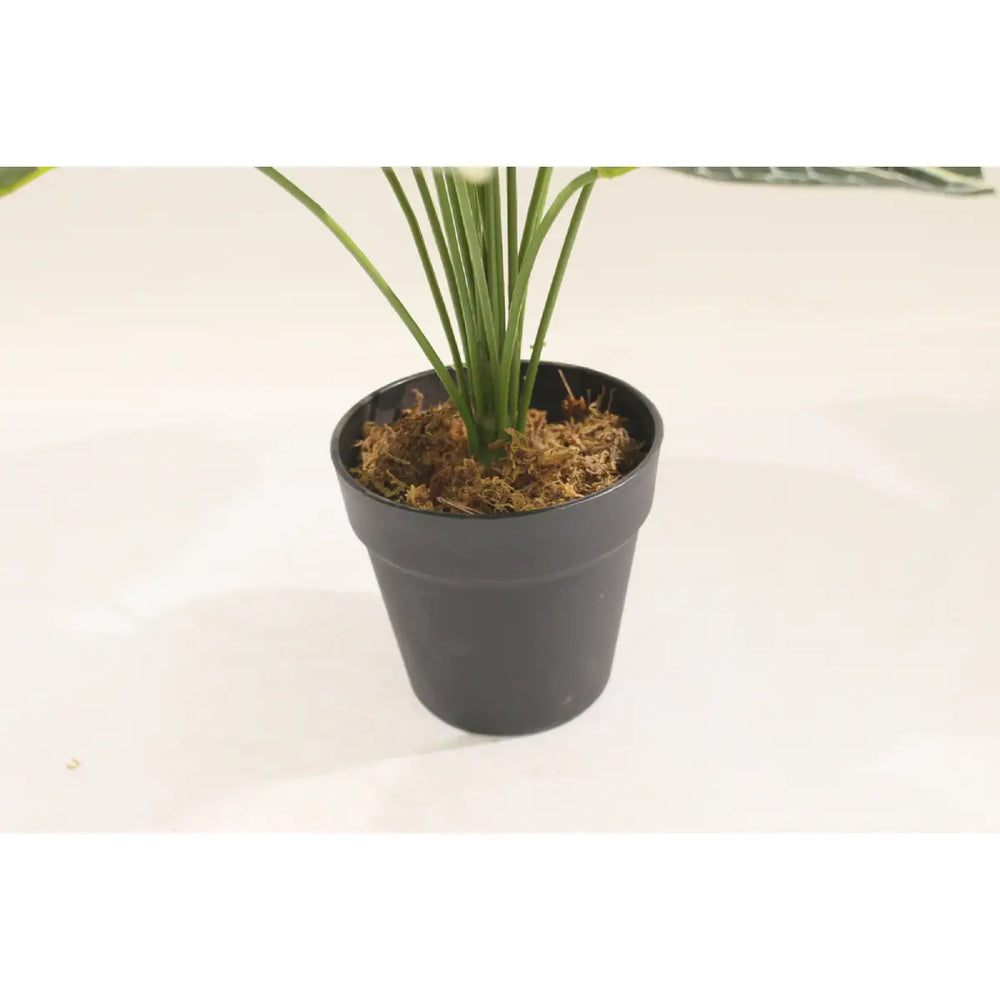 Artificial Taro Plant 60cm 18l Realistic Indoor Décor Plant