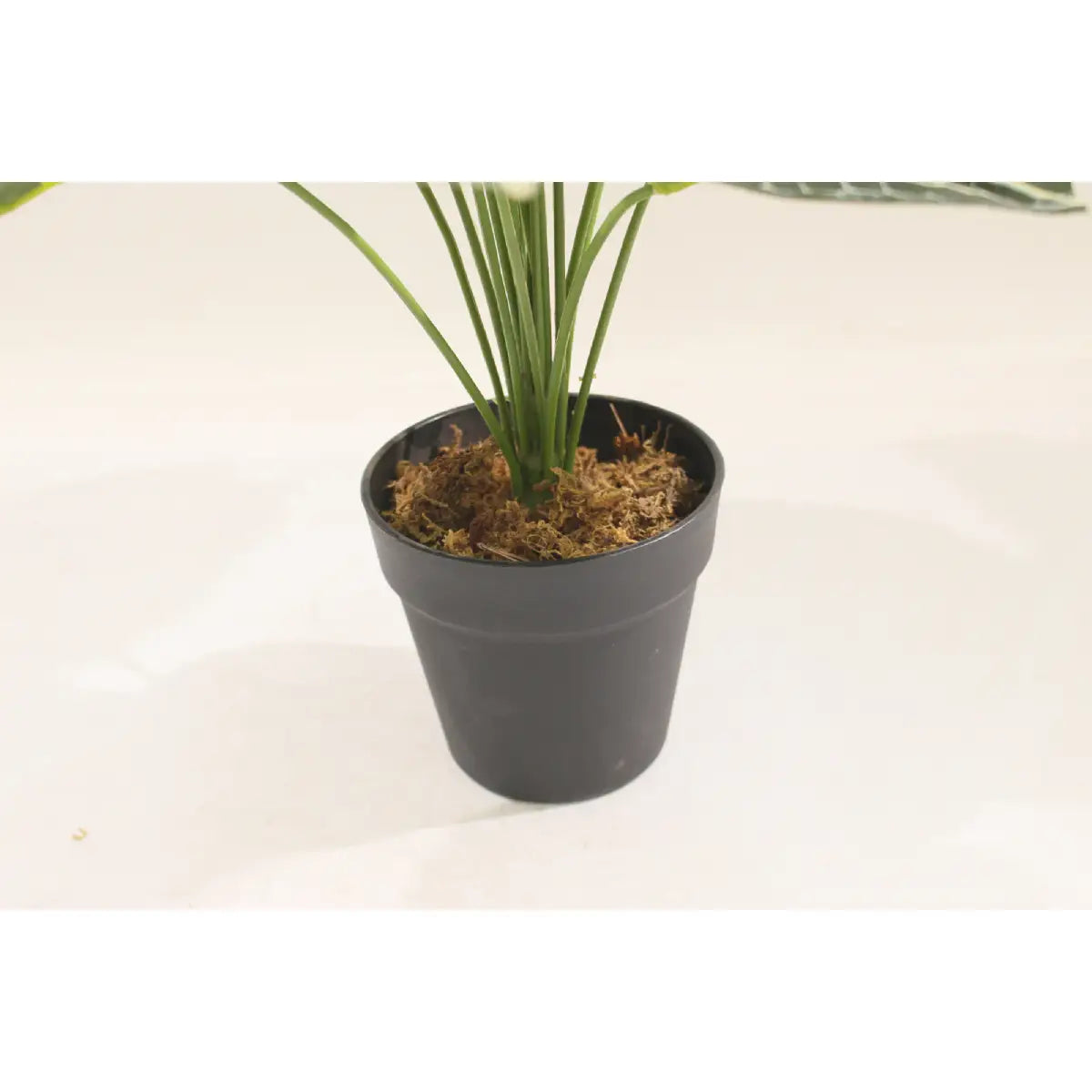 Artificial Taro Plant 60cm 18l Realistic Indoor Décor Plant