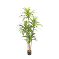 Artificial Dracaena Tree 180cm Tall Realistic Indoor Décor Tree