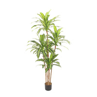 Marcolo 180cm artificial Dracaena tree with lush leaves.