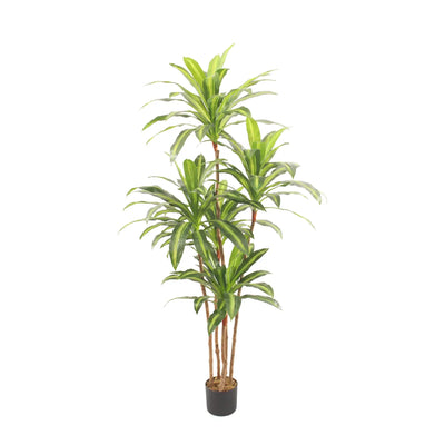 Artificial Dracaena Tree, Variegated Multi-Cane, with Pot, 180 cm