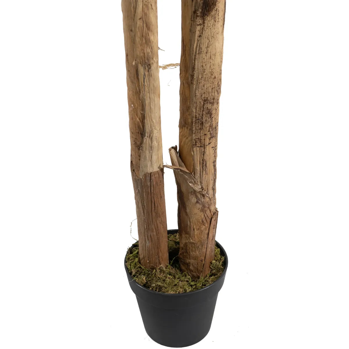 Marcolo 180cm artificial banana tree featuring realistic trunks and lush green leaves in a pot.