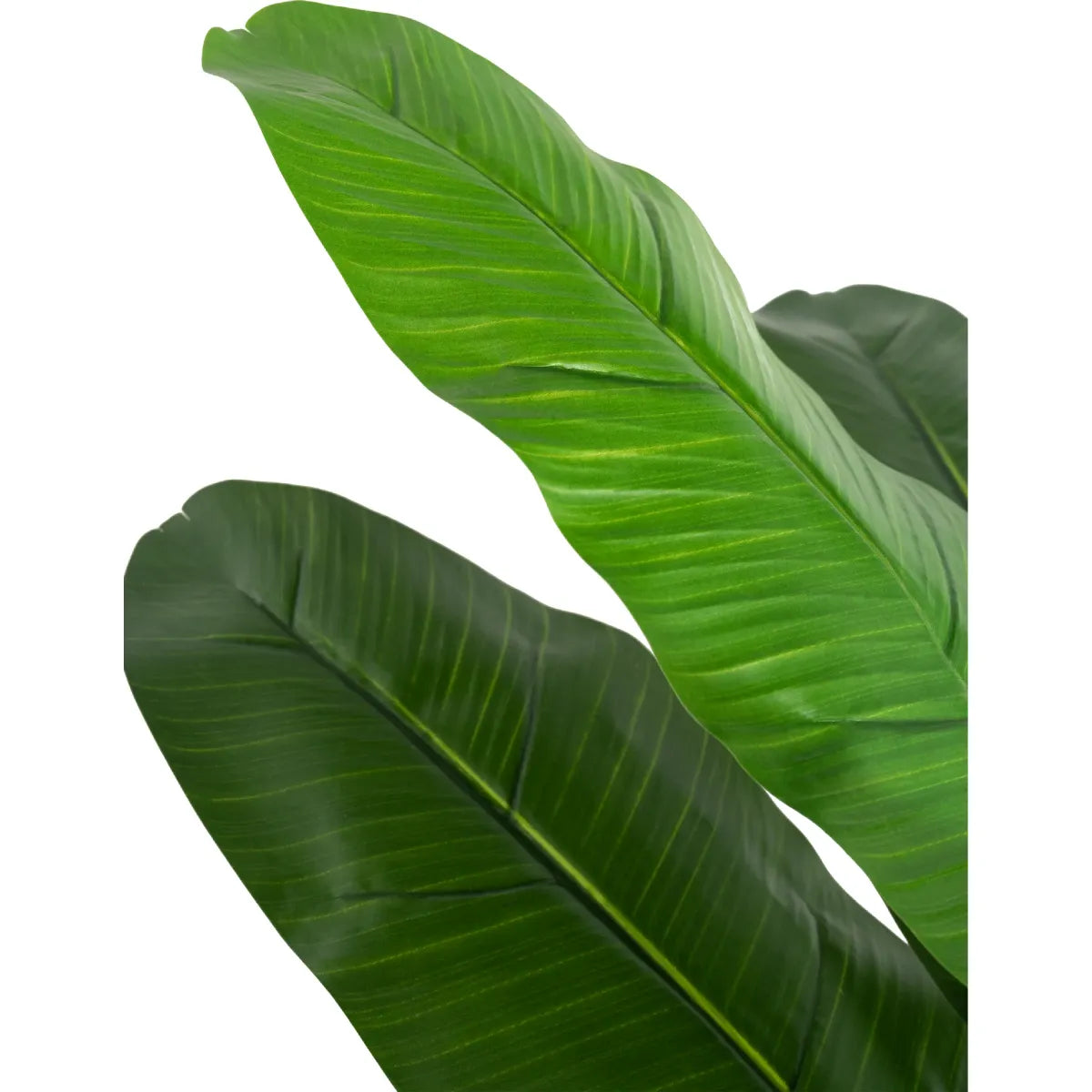 Marcolo artificial banana tree showing large, detailed green leaves with realistic ridges.