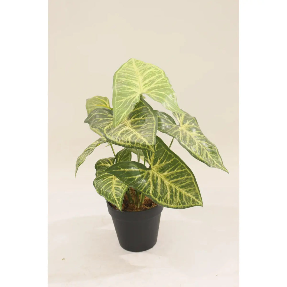 Artificial Taro Plant 35cm Compact Realistic Indoor Décor Plant