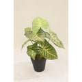 Artificial Taro Plant 35cm Compact Realistic Indoor Décor Plant