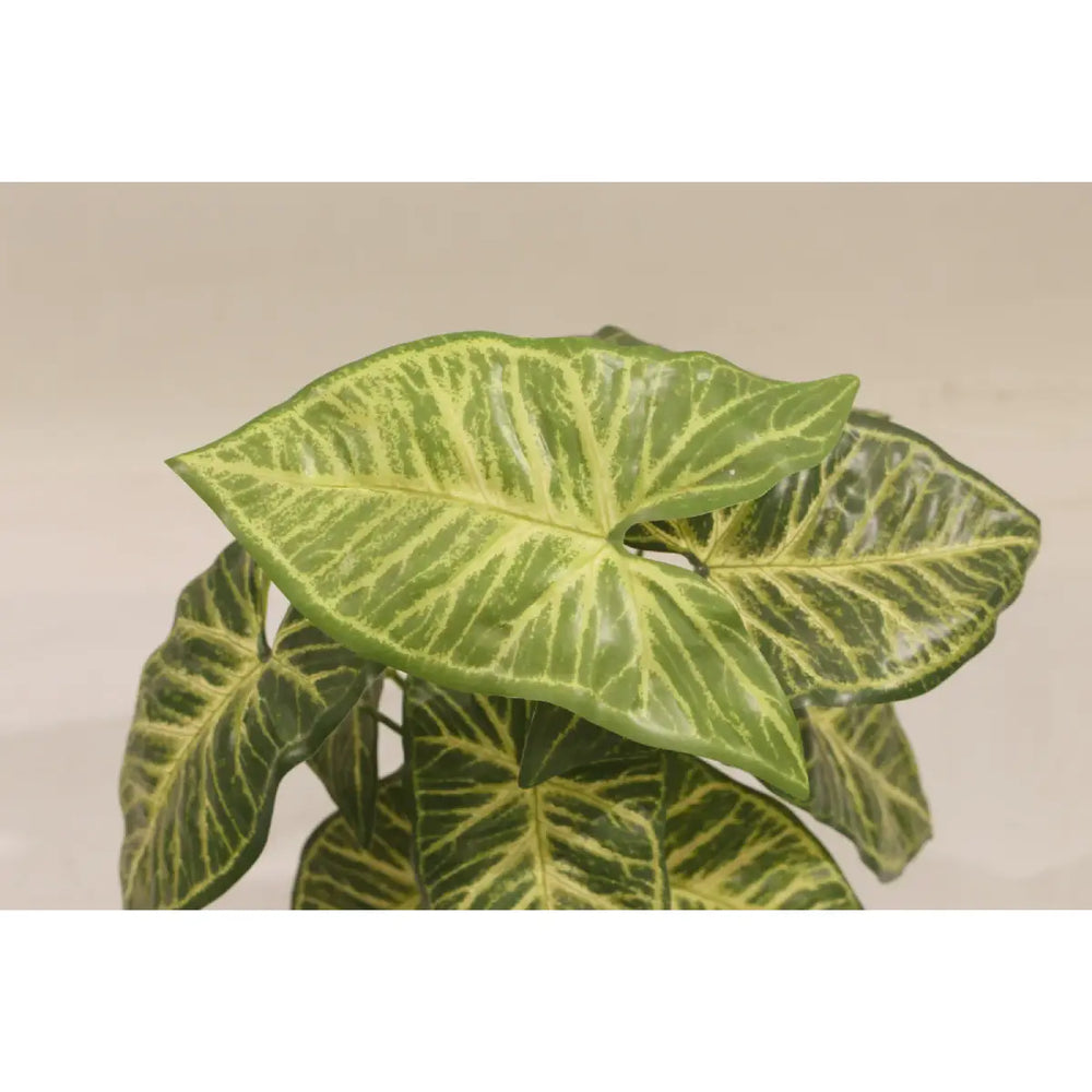 Artificial Taro Plant 35cm Compact Realistic Indoor Décor Plant
