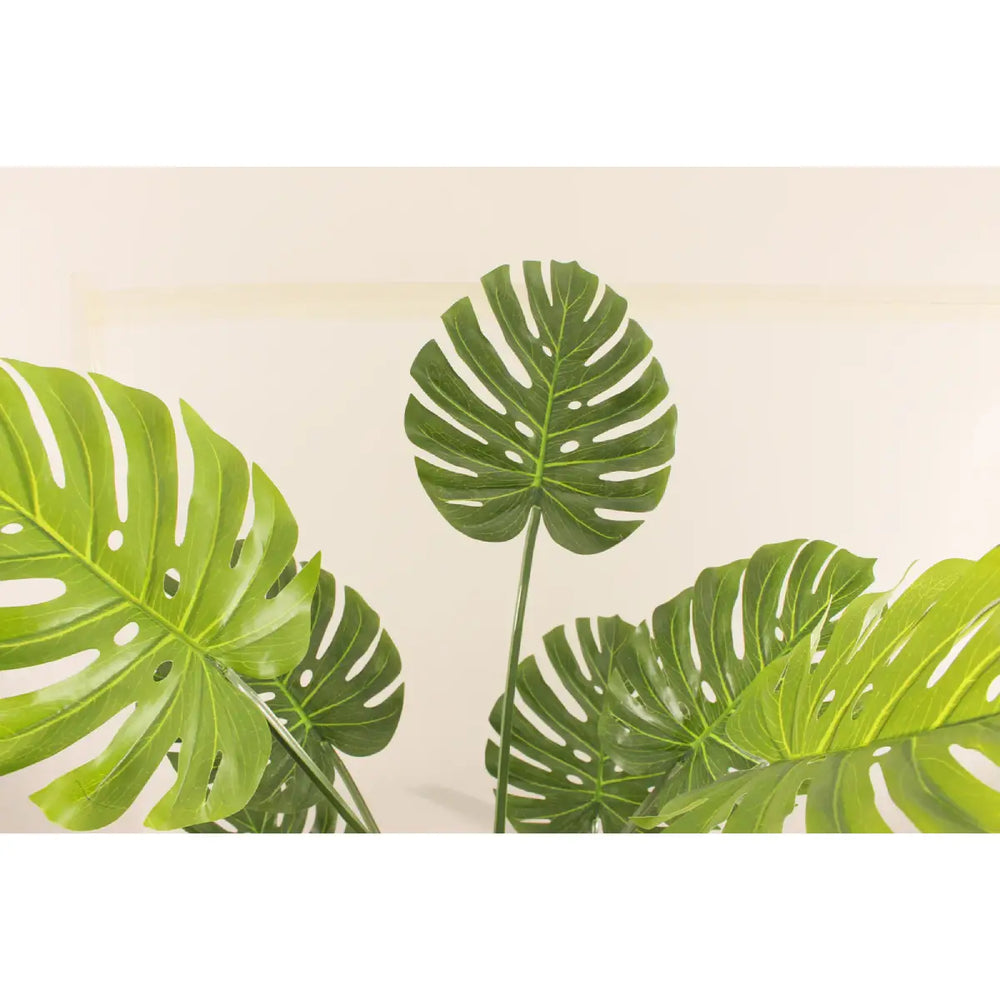 Artificial Monstera Tree 200cm Extra Tall Indoor Décor Tree