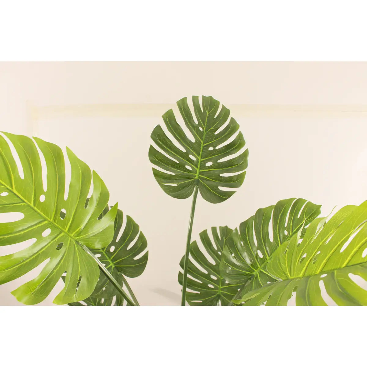 Artificial Monstera Tree 200cm Extra Tall Indoor Décor Tree