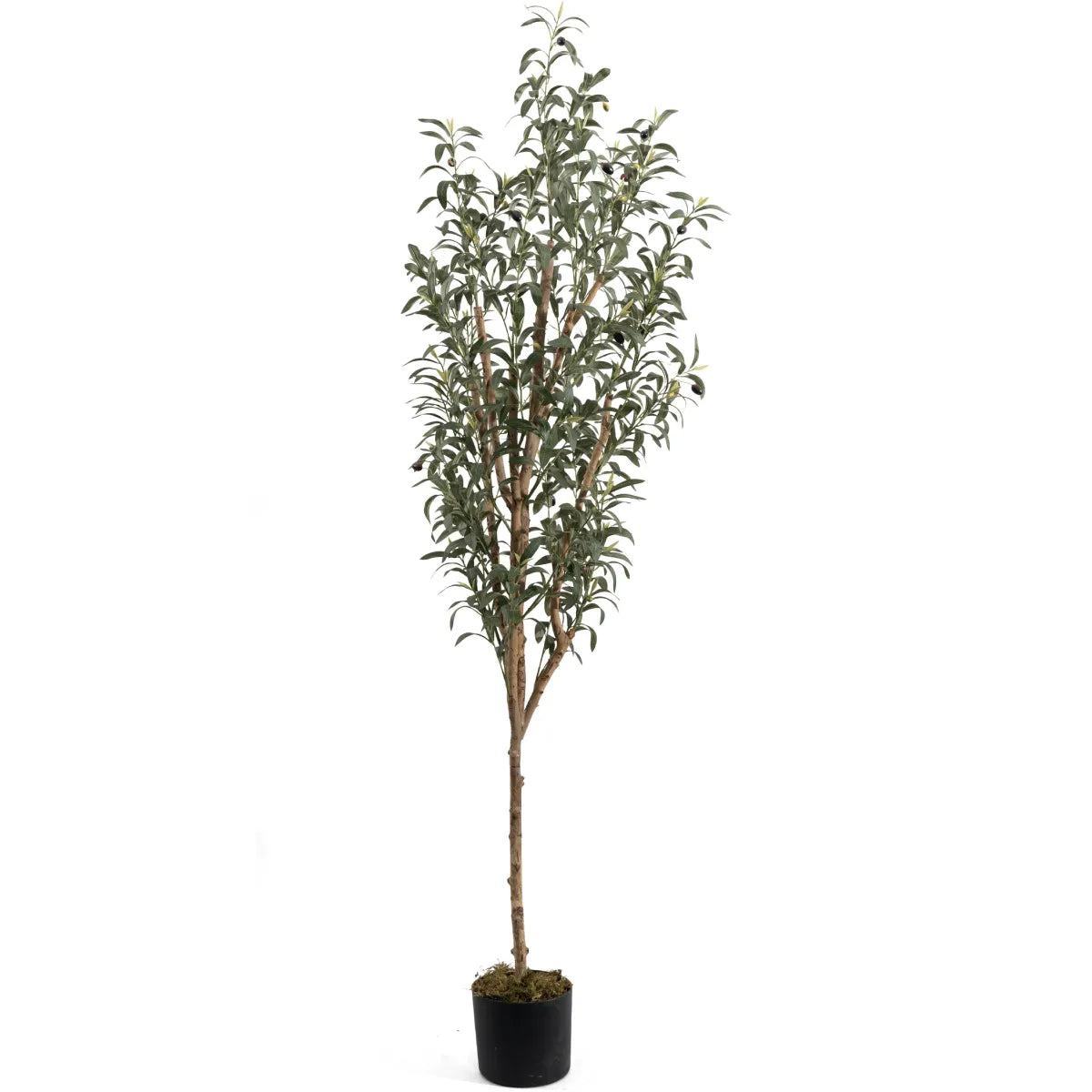 Artificial Olive Tree 180cm Lifelike Indoor Decorative Tree