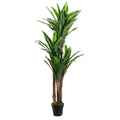 Artificial Dracaena Tree 180cm Tall Realistic Indoor Décor Tree