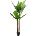 Artificial Banana Tree 210cm Extra Tall Indoor Decorative Tree