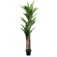 Lifelike 170cm Marcolo artificial Dracaena tree in a pot.