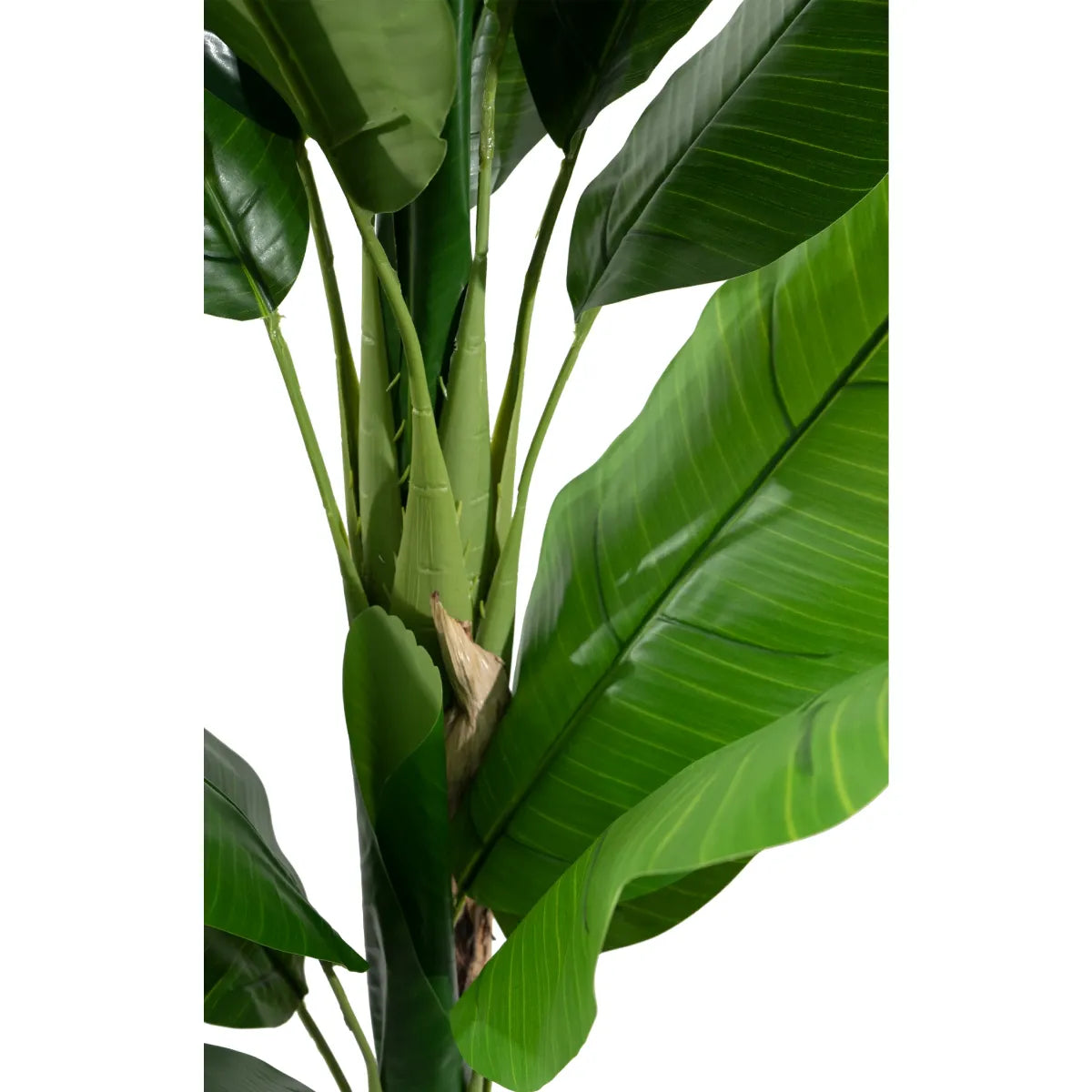 Marcolo 210cm artificial banana tree with thick, realistic trunks and lush green tropical leaves.