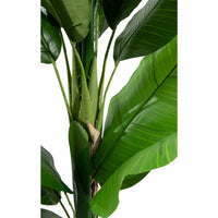 Marcolo 210cm artificial banana tree with thick, realistic trunks and lush green tropical leaves.