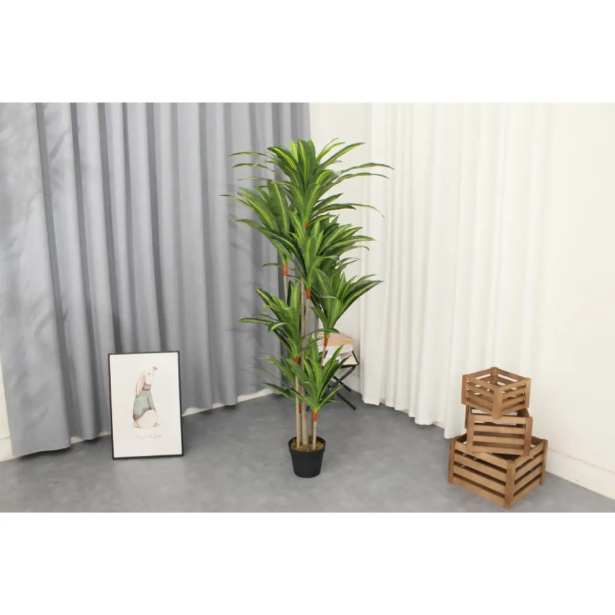 Marcolo 170cm artificial Dracaena tree in a home setting.