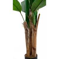 Marcolo artificial banana tree with lush green fronds and realistic textured bark in a black pot.