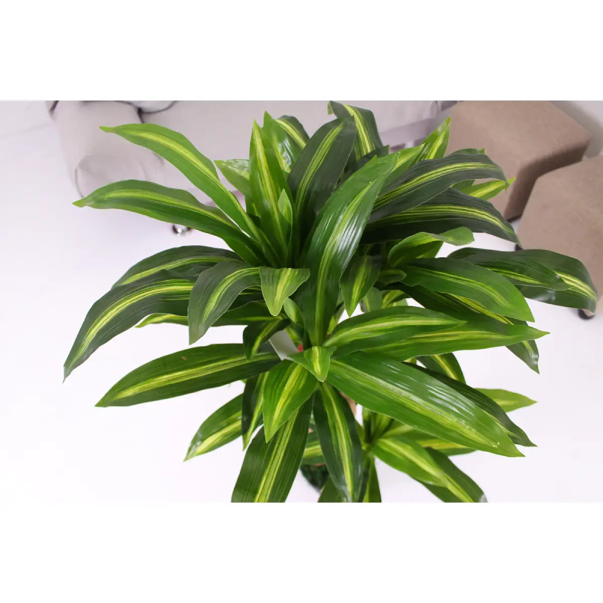 Artificial Dracaena Tree 100cm Realistic Indoor Decorative Plant