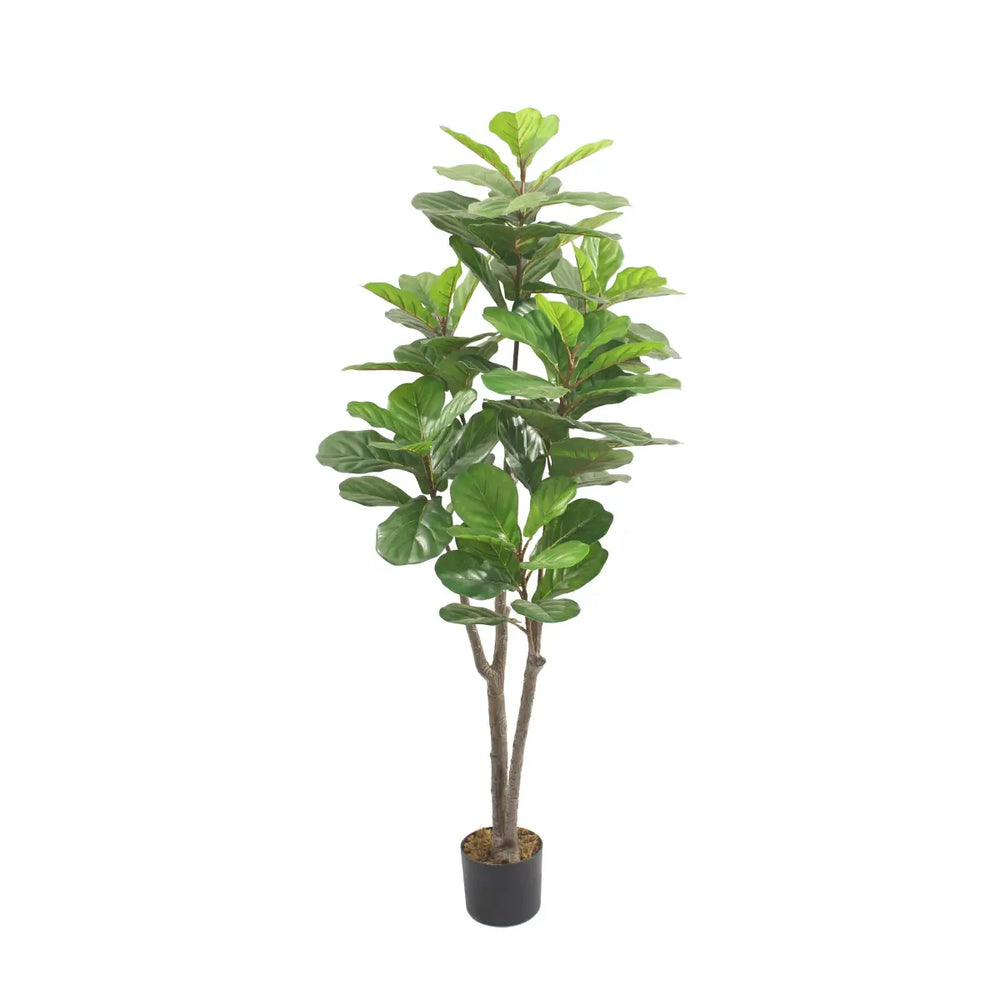 Artificial Fiddle Leaf Fig Tree 160cm 72l Indoor Décor