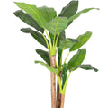 Artificial Banana Tree 180cm Lifelike Tropical Indoor Décor