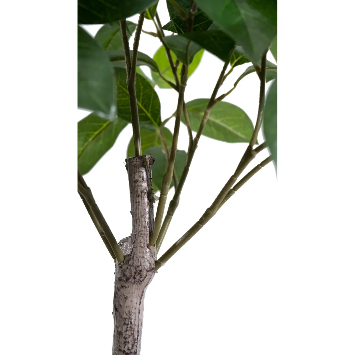 Marcolo Artificial Lemon Tree Stem and Branch Structure