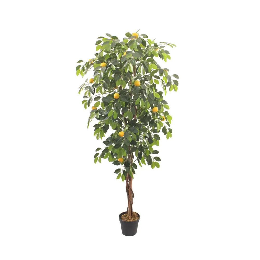 Artificial Lemon Tree 180cm Tall Lifelike Indoor Décor Tree